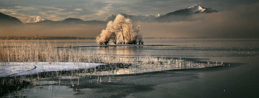 Morgenstimmung Ostufer Chiemsee